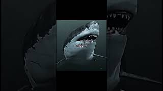 Blue Whale vs Megalodon [upl. by Damita]