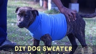 How to Make a Dog Sweater  DIY Tutorial [upl. by Deraj]