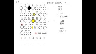 ビオトープのシオカラトンボ7月24日翔平メーター [upl. by Schilling]