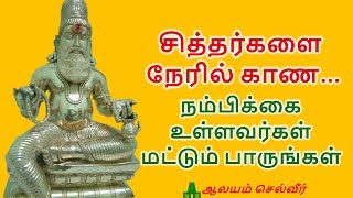 சித்தர்களை காண மந்திரம்  Siddhar Worship  Siddhar Vazhipadu [upl. by Eniwtna]