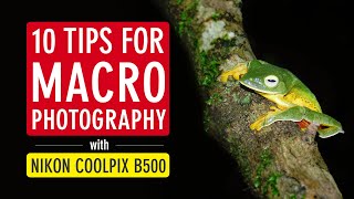 10 Tips for Macro Photography with Nikon Coolpix B500 Nikon B500 Photography  Sonika Agarwal [upl. by Appilihp]