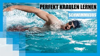 Schwimmkurs Perfekt Kraulen lernen  FIT FOR FUN [upl. by Stanford]