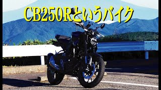 《モトブログ》CB250Rはなぜ生産終了したのか？ [upl. by Lewellen]