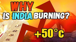 DEADLIEST HEAT WAVES EXPLAINED🔥HOTTEST SUMMER EVER RECORDED🔥climatechange heatwaves doomsday [upl. by Einniw]