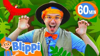 Blippis Day in the Life of the Animals  Blippi  Educational Videos for Kids [upl. by Nodnyl91]