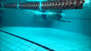 Total Immersion freestyle AJ Kim Korean stroke bilateral breathing [upl. by Sclar]