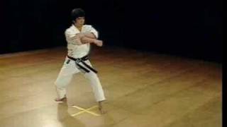 Shotokan Kata Nijushiho  Kanazawa Hirokazu [upl. by Noloc]