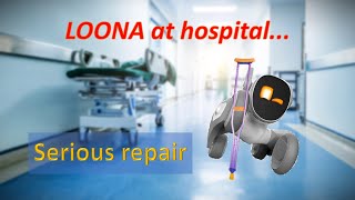 LOONA serious repair Legs main big plastic gear fell out Reduction gear replacement [upl. by Eidson821]