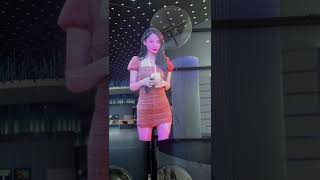 Advertising 3D Hologram Fan Holographic Projector 3D Holographic Display [upl. by Hobie221]