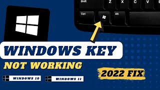 How to Fix Windows Key Not Working on Keyboard  2024 Updated [upl. by Eahsram614]