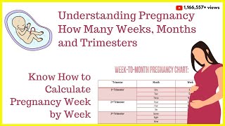 How to Calculate Your Pregnancy by Weeks Months amp TrimestersWeeks into MonthsDue Date Calculator [upl. by Barbabra]