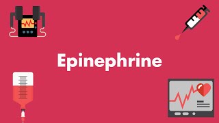 Epinephrine  Vasopressors amp Inotropes  MEDZCOOL [upl. by Ahsiliw]