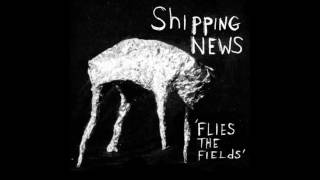 Shipping News  Flies The Fields [upl. by Adnana]