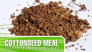 Cottonseed Meal  How to enrich your soil using Organic Amendments [upl. by Scotney671]