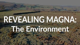 Revealing Magna The Environment [upl. by Ydnolem]