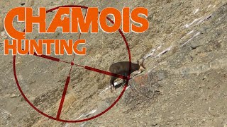 Alpine Chamois Hunting in France 22  Chasse au Chamois en France 22  2019 [upl. by Ahsie]