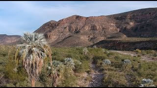 Baja California by Drone Blue Palm Canyons [upl. by Esme430]