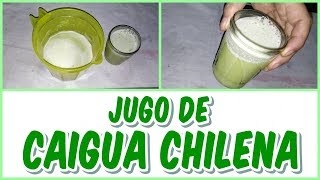 BENEFICIOS DEL JUGO DE CAIGUA CHILENA PARA LA SALUD [upl. by Woodrow268]