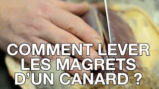 Comment lever les magrets dun canard   Les trucs et astuces de Chassons TV n°10 [upl. by Nhaj285]