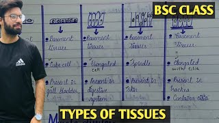 Tissue And Its Types  Structure Of Tissues  Class Bsc Zoology [upl. by Meldon955]