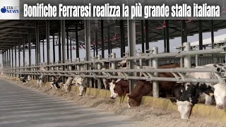 Bonifiche Ferraresi realizza la più grande stalla italiana [upl. by Anilah]