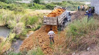 Launched The Show project using D31A Bulldozeramp Dozer MITSUBISHI to push soil into ponds and fields [upl. by Toffey788]