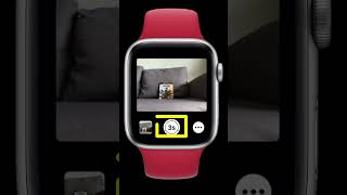 Did you know you can control your iPhone’s camera with your Apple Watch shorts [upl. by Aikaz]