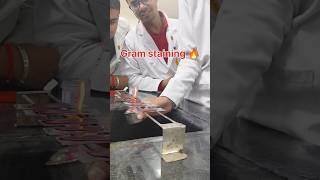 MBBS practical😃 2nd year MBBS life  Microbiology practical neetmotivation aiims shorts [upl. by Akimak142]