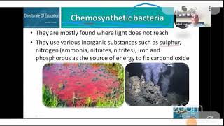 Class 11 Chemosynthetic Bacteria [upl. by Evol498]