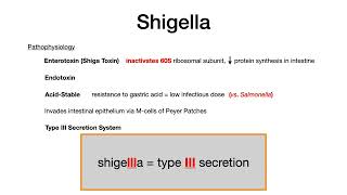 Shigella [upl. by Aileve]