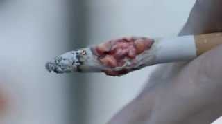 AntiSmoking Ads Show Tumours On Cigarettes [upl. by Bibah]