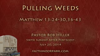 Matthew 1324303643  Pulling Weeds [upl. by Coppins804]