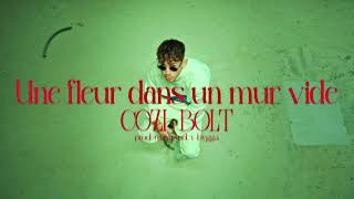 Cozi Bolt  Une fleur dans un mur vide Clip Officiel [upl. by Gore]