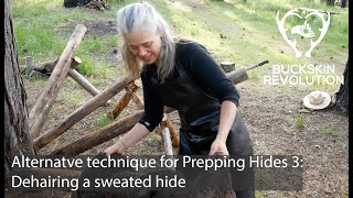 Alternative Technique for Prepping Hides 3 Dehairing [upl. by Roux835]