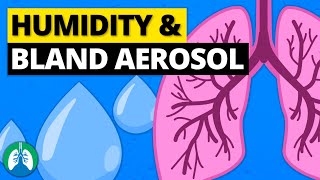 Respiratory System Part 1 Crash Course Anatomy amp Physiology 31 [upl. by Thema232]