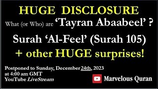 YT168 What or Who are Tayran Abaabeel Surah AlFeel 105 Other Huge Disclosures [upl. by Jacqui]