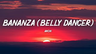 Akon  Bananza Belly Dancer Lyrics [upl. by Ainattirb827]