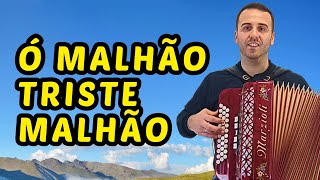 Música Portuguesa na Concertina Ó Malhão Triste Malhão  Malhão de Cinfães concertinas acordion [upl. by Four]