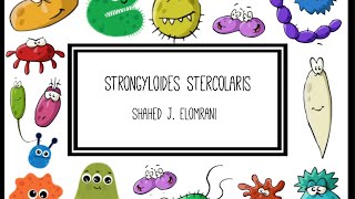 Strongyloides Stercolaris [upl. by Neerual]