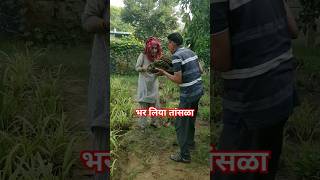 गायों का गोबर cowdung comedy funny [upl. by Philana]