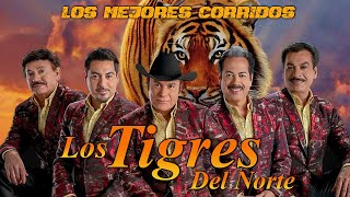 Los Mejores Corridos de Los Tigres del Norte  30 Súper Éxitos  Mix para Pistear [upl. by Germain67]