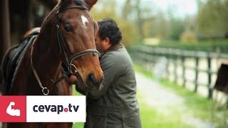 TEDARampTOBB Satınalma ve Tedarikçi Geliştirme Webinarı Enerji Sektörü [upl. by Claudia225]