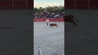 EL GANADOR DE Esencias de la calle en asfalto la valld d’uixó Castellon 2024 [upl. by Sedberry593]