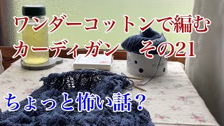 編み物とおしゃべりと【32】ワンダーコットン でカーディガンを編むその21 可愛いお干菓子とちょっぴり恐怖体験？ [upl. by Rubinstein]