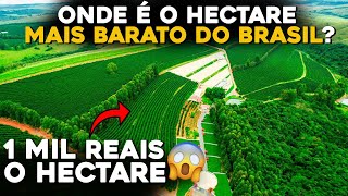 ONDE FICA O HECTARE MAIS BARATO E O MAIS CARO DO BRASIL [upl. by Noirrad123]