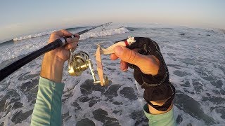 Fishing the Summer Surf [upl. by Ettari]