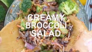 Broccoli Salad Recipe [upl. by Gibbie]