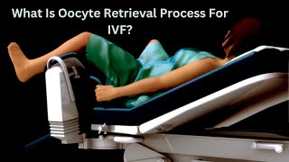 What Is Egg Retrieval Process For IVF  What is Oocyte Retrieval Process For IVF [upl. by Iniffit431]