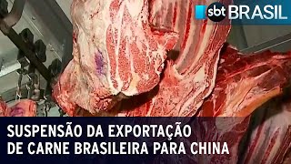 Caso de Vaca Louca pode reduzir preço da carne nos açougues  SBT Brasil 250223 [upl. by Aihsenet]