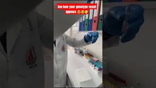 genotype test demonstrated professionally in Dr Fenuku lab😍🥰🤩😶🤗 labwork motivation knowledge [upl. by Nivlem]